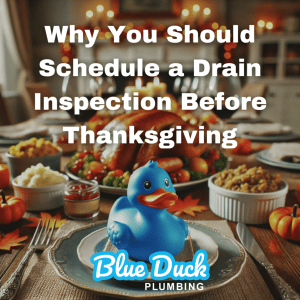 Why You Should Schedule a Drain Inspection Before Thanksgiving