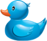 blue duck